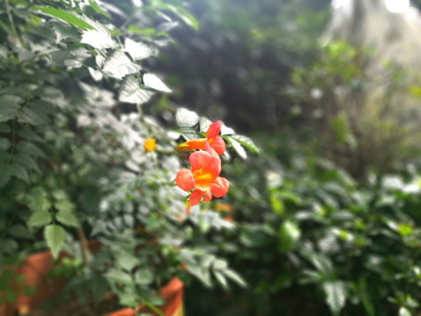 1555769319891801.jpg 2017715164617494.jpg